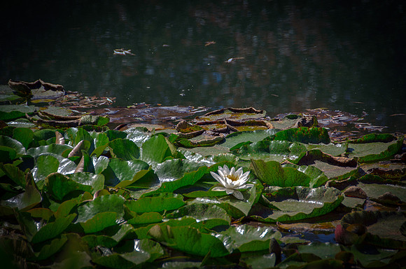 untitled-682