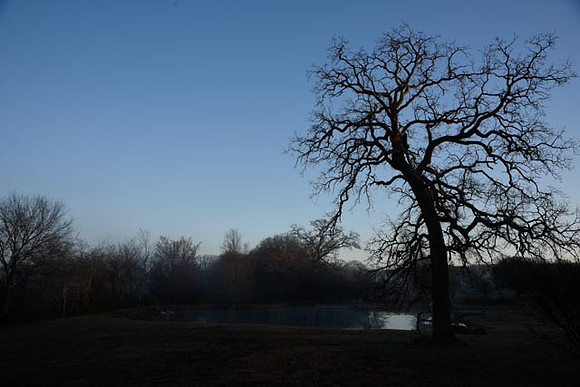 untitled-49