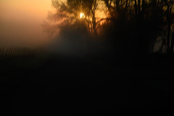 untitled-20