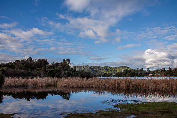 _DSC0602