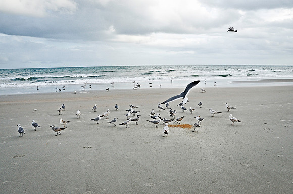 Beach II