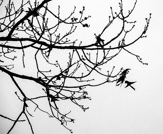 Hanging On