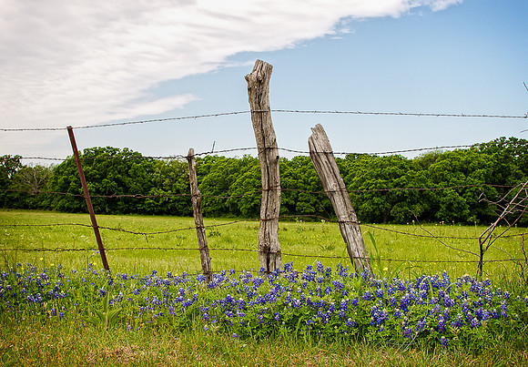 DSC_6011-Recovered