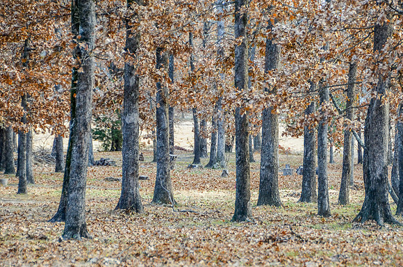 DSC_4546-3