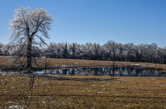 _DSC1525-2