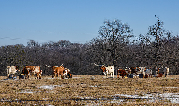 _DSC1516