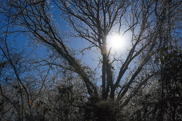 _DSC1483