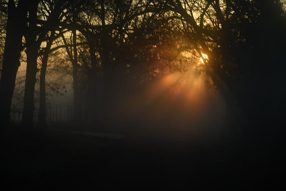 untitled-22