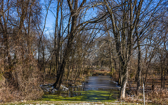 _DSC1528-2