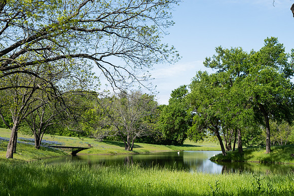 untitled-807