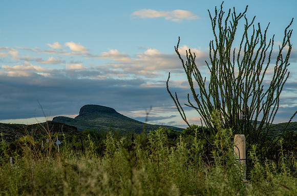 _DSC0018