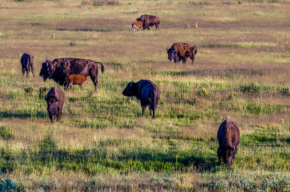 DSC_2740