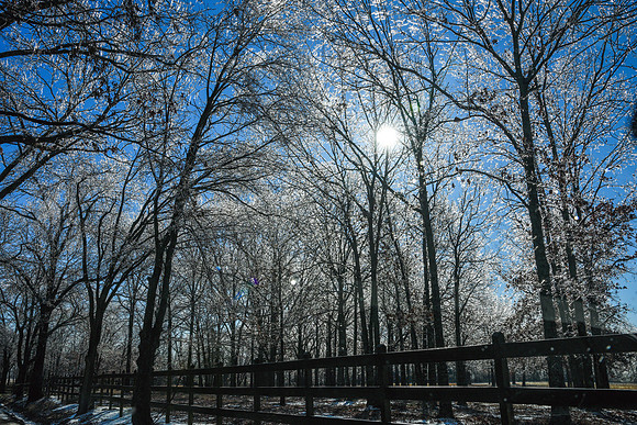 _DSC1511